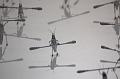 B-a-38_Balzer Artprojects_IMG_09826